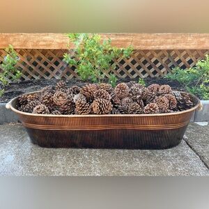 🌲Ponderosa Pinecones from the PNW - See Description